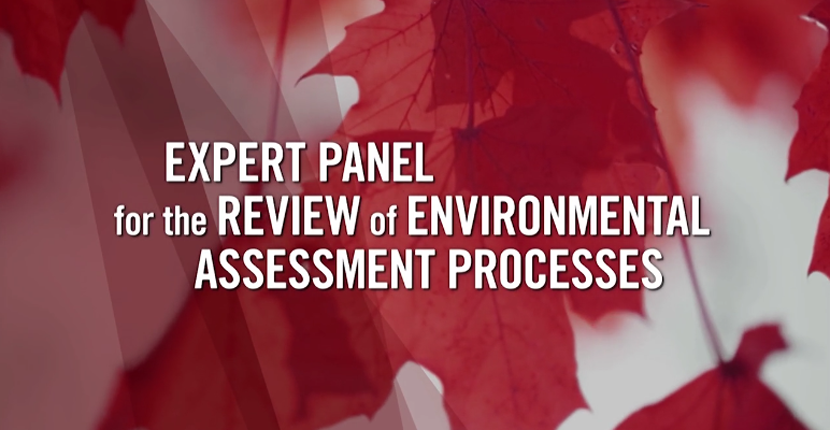 Expert Panel on Review of EA Processes